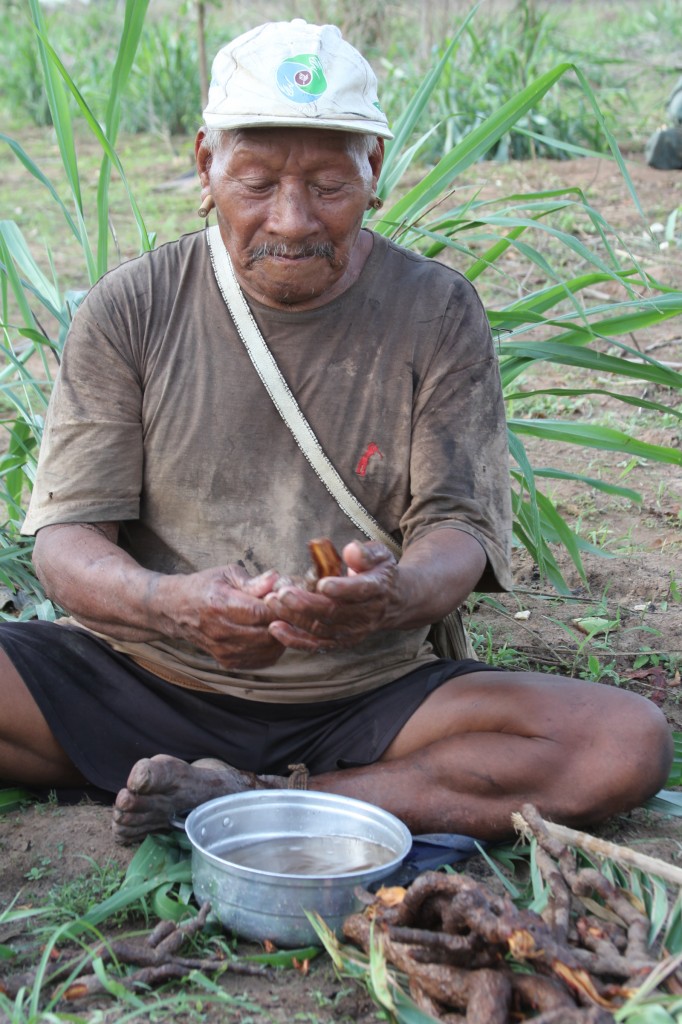Dutra prepara raiz medicinal. TI Marãiwatsédé, MT. Imagem de Lilian Brandt.